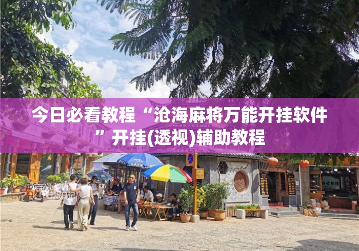 今日必看教程“沧海麻将万能开挂软件”开挂(透视)辅助教程
