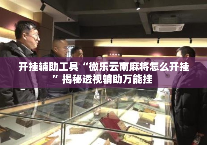 开挂辅助工具“微乐云南麻将怎么开挂”揭秘透视辅助万能挂 