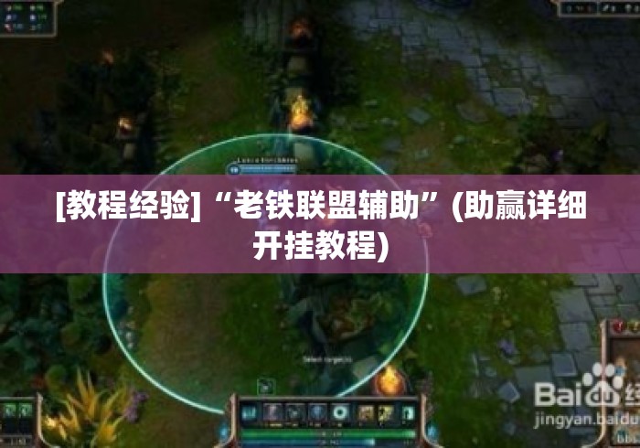 [教程经验]“老铁联盟辅助	”(助赢详细开挂教程)