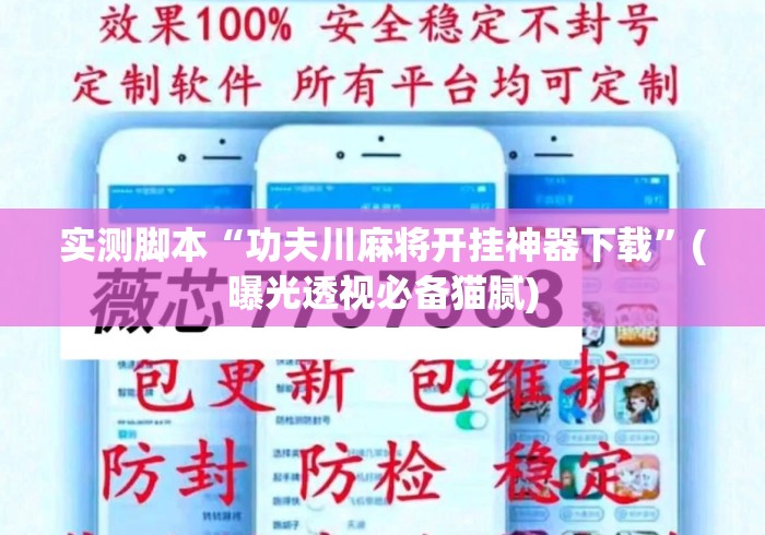 实测脚本“功夫川麻将开挂神器下载	”(曝光透视必备猫腻)