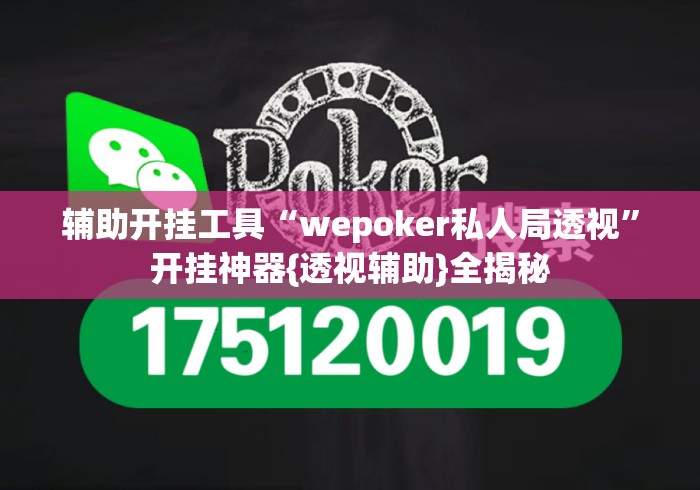 辅助开挂工具“wepoker私人局透视	”开挂神器{透视辅助}全揭秘