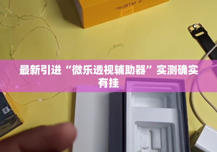 最新引进“微乐透视辅助器”实测确实有挂