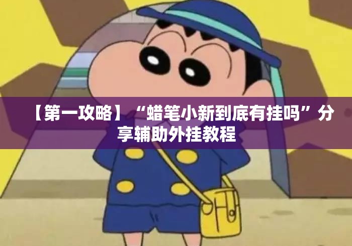 【第一攻略】“蜡笔小新到底有挂吗”分享辅助外挂教程