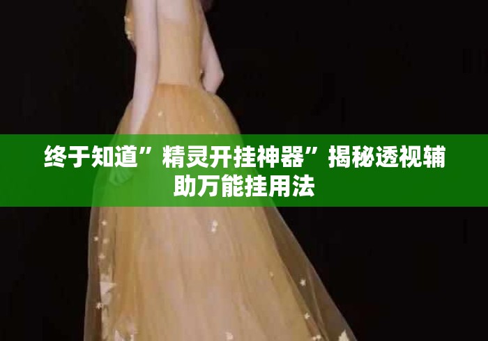 终于知道”精灵开挂神器”揭秘透视辅助万能挂用法