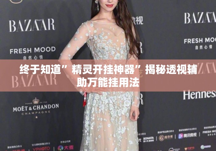 终于知道”精灵开挂神器	”揭秘透视辅助万能挂用法