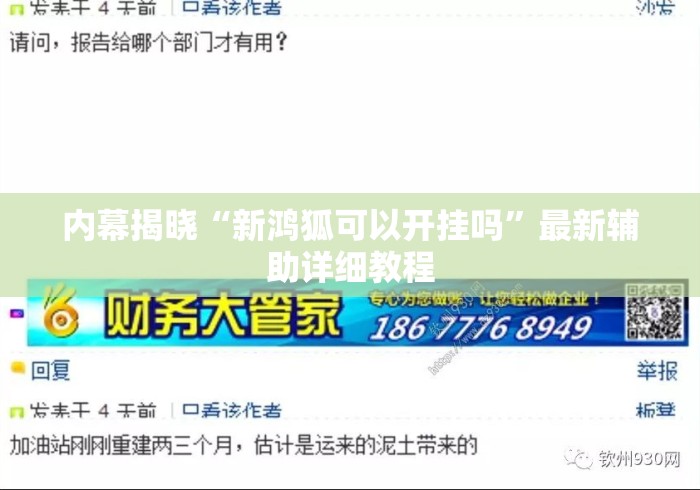 内幕揭晓“新鸿狐可以开挂吗”最新辅助详细教程