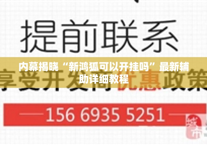 内幕揭晓“新鸿狐可以开挂吗”最新辅助详细教程