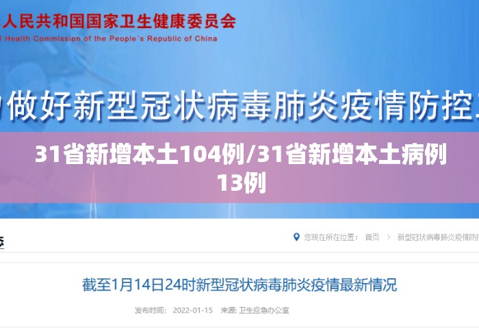 31省新增本土104例/31省新增本土病例13例
