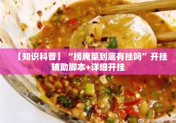 【知识科普】“捞腌菜到底有挂吗”开挂辅助脚本+详细开挂