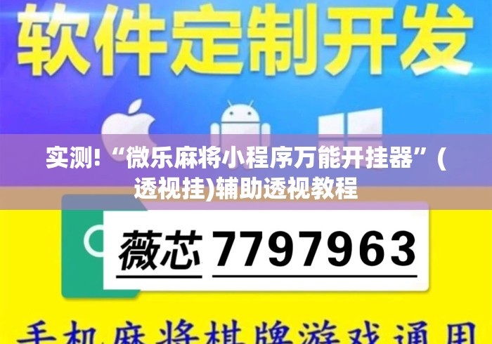 实测!“微乐麻将小程序万能开挂器”(透视挂)辅助透视教程