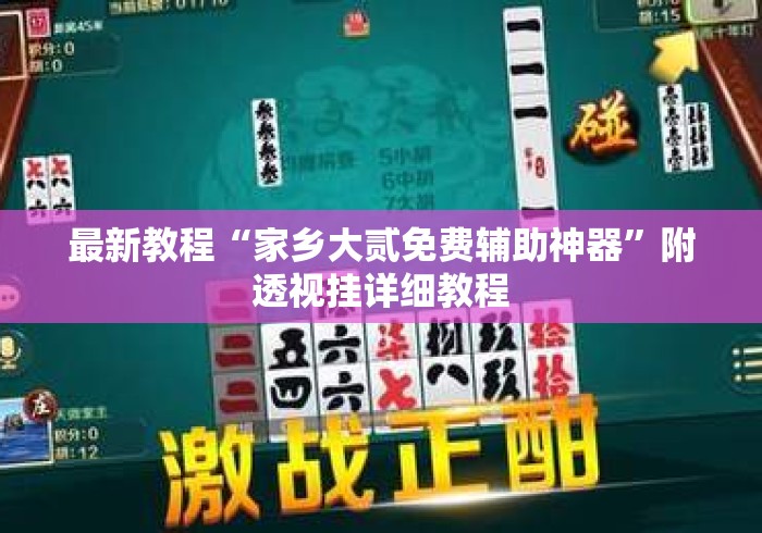 最新教程“家乡大贰免费辅助神器”附透视挂详细教程