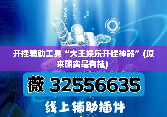 开挂辅助工具“大王娱乐开挂神器	”(原来确实是有挂) 