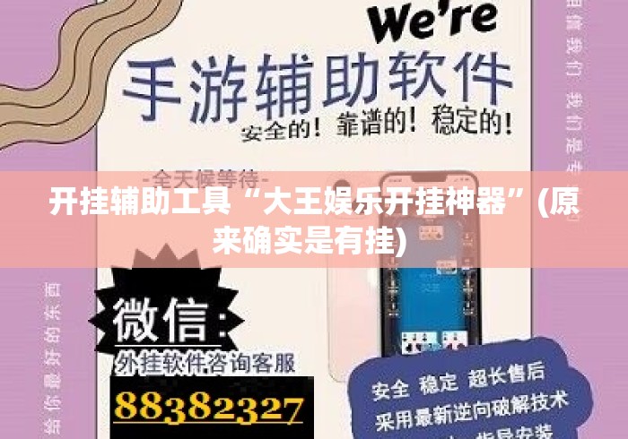 开挂辅助工具“大王娱乐开挂神器”(原来确实是有挂) 