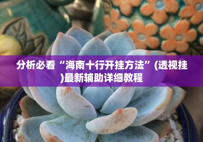 分析必看“海南十行开挂方法	”(透视挂)最新辅助详细教程