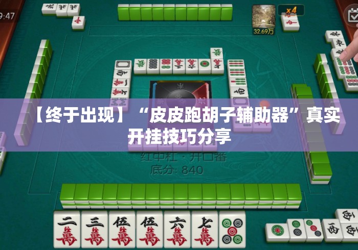 【终于出现】“皮皮跑胡子辅助器”真实开挂技巧分享