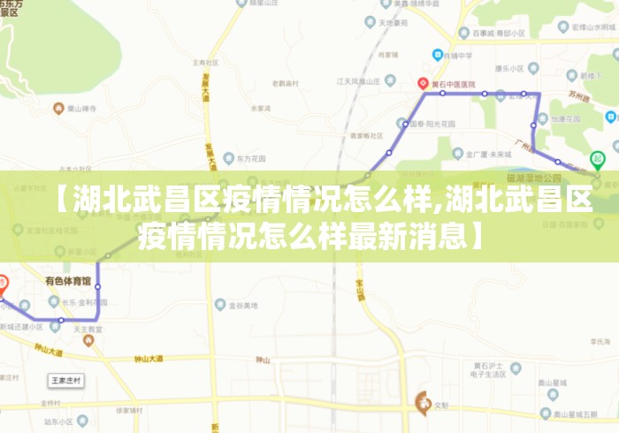 【湖北武昌区疫情情况怎么样,湖北武昌区疫情情况怎么样最新消息】