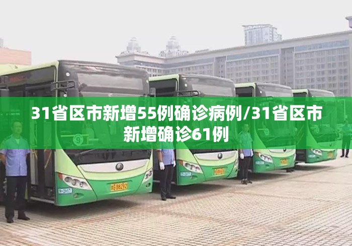 31省区市新增55例确诊病例/31省区市新增确诊61例 31省区市新增55例确诊病例/31省区市新增确诊61例