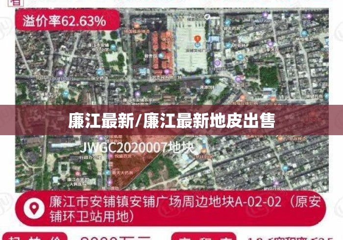廉江最新/廉江最新地皮出售