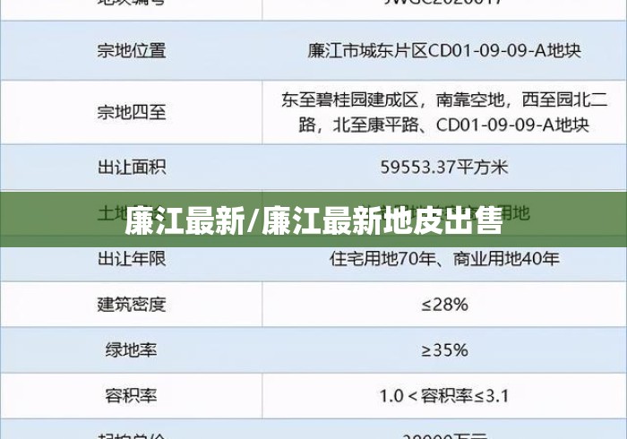 廉江最新/廉江最新地皮出售