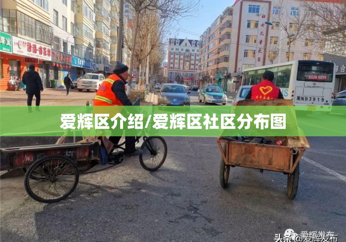 爱辉区介绍/爱辉区社区分布图