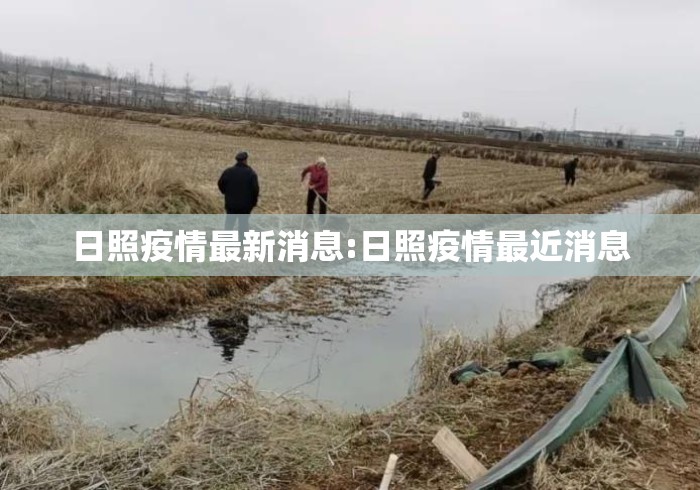 日照疫情最新消息:日照疫情最近消息