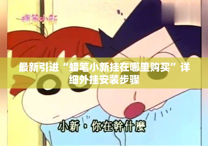最新引进“蜡笔小新挂在哪里购买	”详细外挂安装步骤
