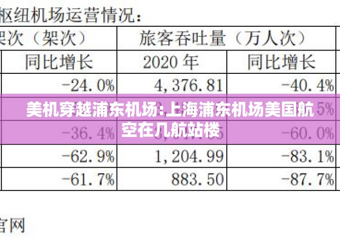 美机穿越浦东机场:上海浦东机场美国航空在几航站楼