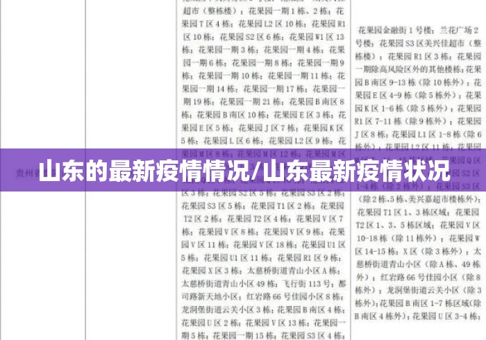 山东的最新疫情情况/山东最新疫情状况