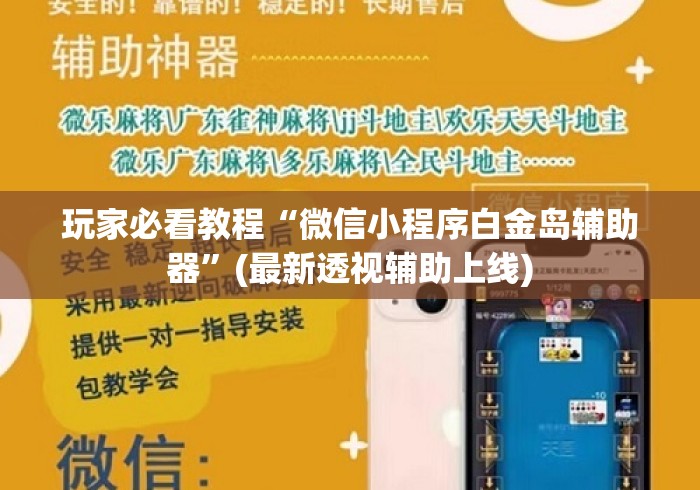 玩家必看教程“微信小程序白金岛辅助器”(最新透视辅助上线)