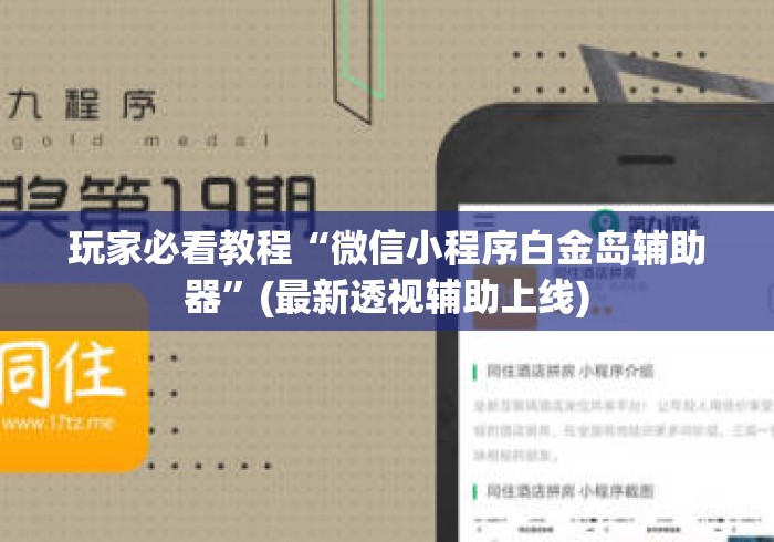 玩家必看教程“微信小程序白金岛辅助器”(最新透视辅助上线)