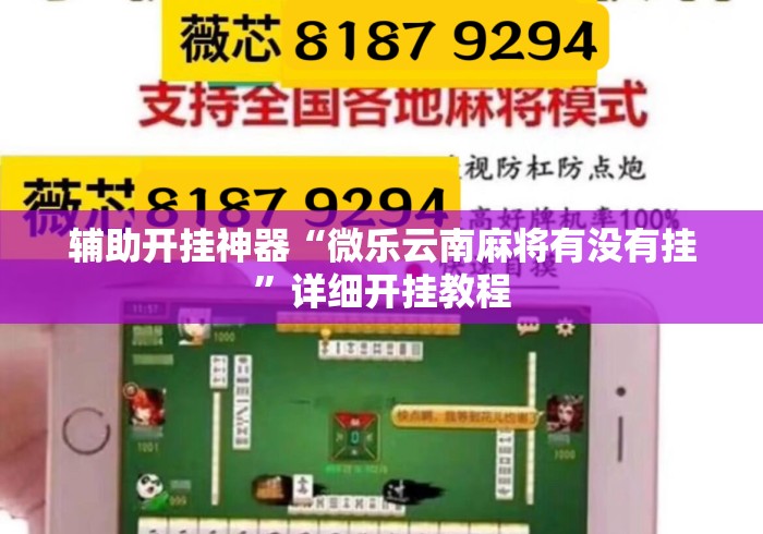 辅助开挂神器“微乐云南麻将有没有挂	”详细开挂教程