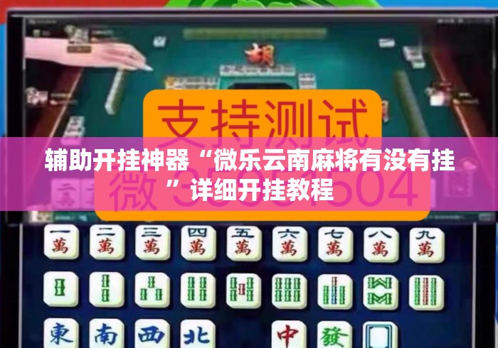 辅助开挂神器“微乐云南麻将有没有挂”详细开挂教程