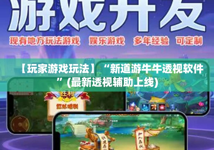 【玩家游戏玩法】“新道游牛牛透视软件”(最新透视辅助上线)