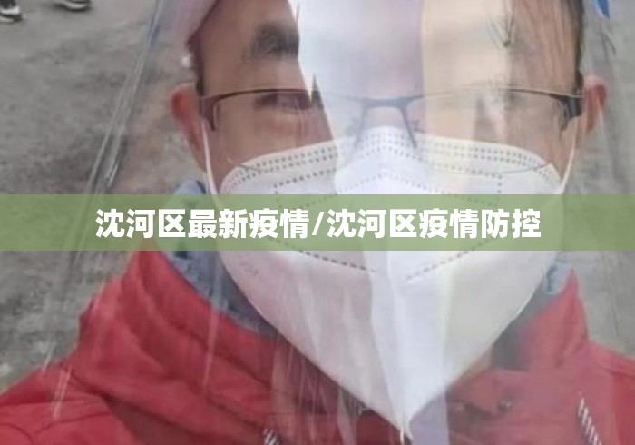 沈河区最新疫情/沈河区疫情防控 沈河区最新疫情/沈河区疫情防控