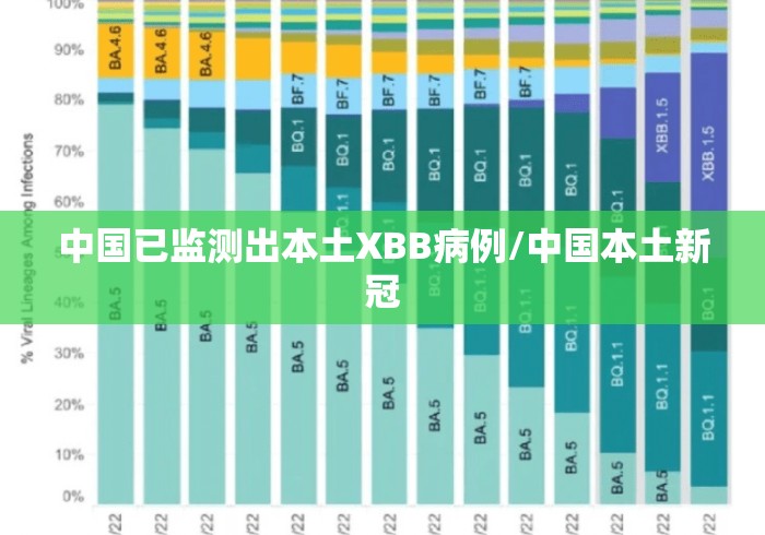 中国已监测出本土XBB病例/中国本土新冠