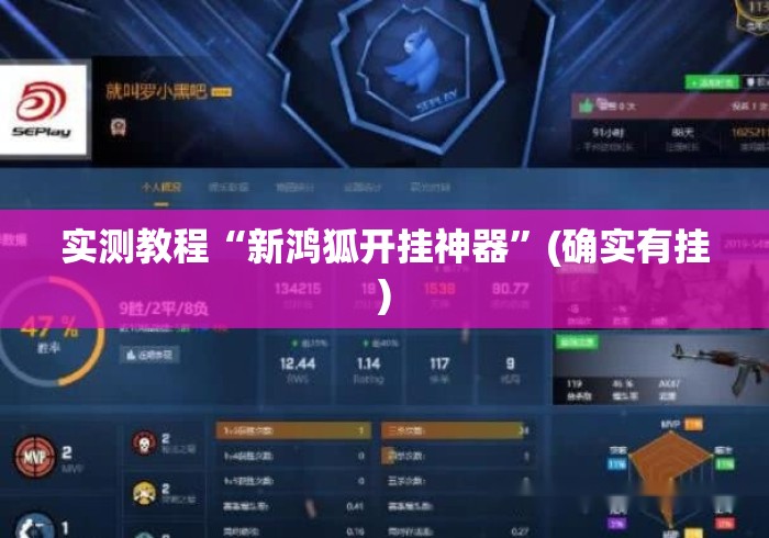 实测教程“新鸿狐开挂神器”(确实有挂)