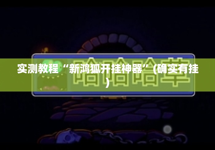 实测教程“新鸿狐开挂神器”(确实有挂)