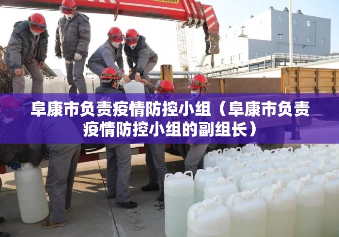 阜康市负责疫情防控小组(阜康市负责疫情防控小组的副组长) 阜康市负责疫情防控小组(阜康市负责疫情防控小组的副组长)
