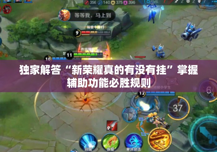 独家解答“新荣耀真的有没有挂”掌握辅助功能必胜规则