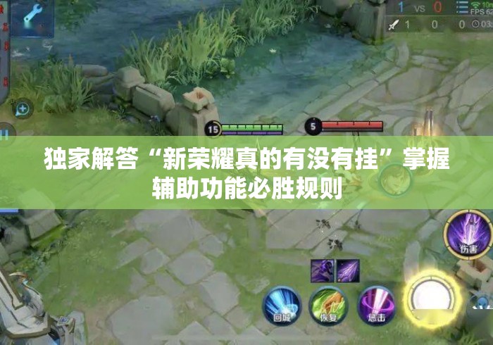 独家解答“新荣耀真的有没有挂	”掌握辅助功能必胜规则