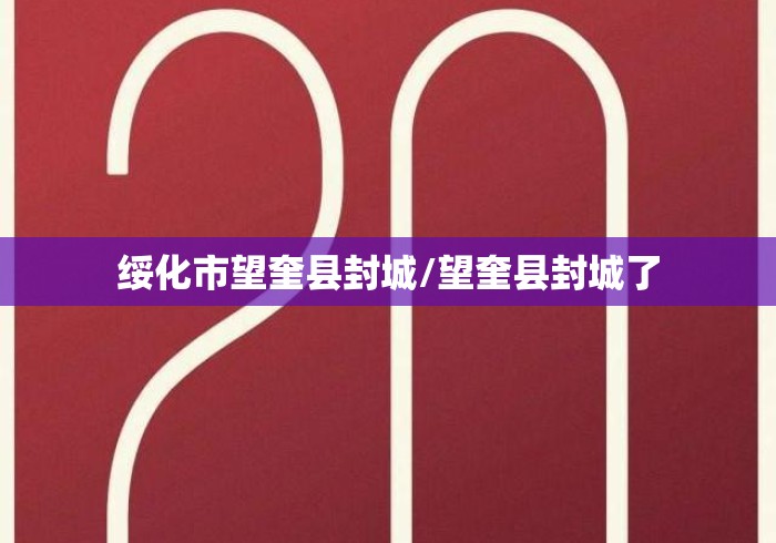 绥化市望奎县封城/望奎县封城了