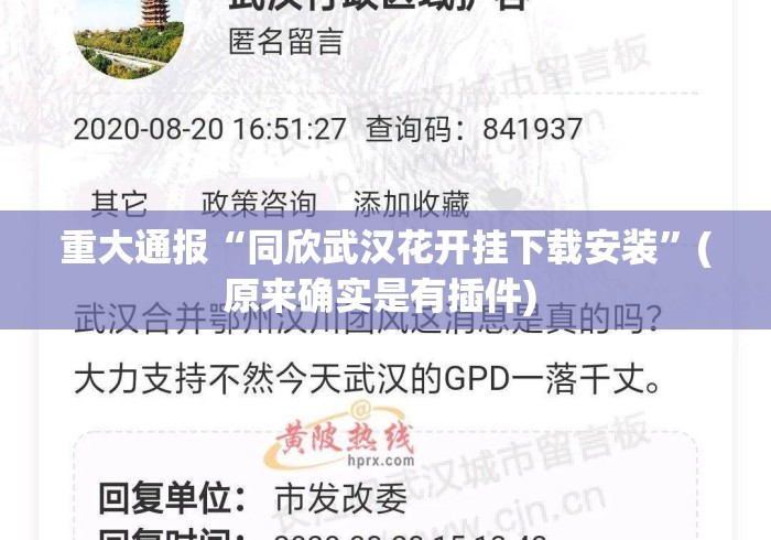 重大通报“同欣武汉花开挂下载安装”(原来确实是有插件) 