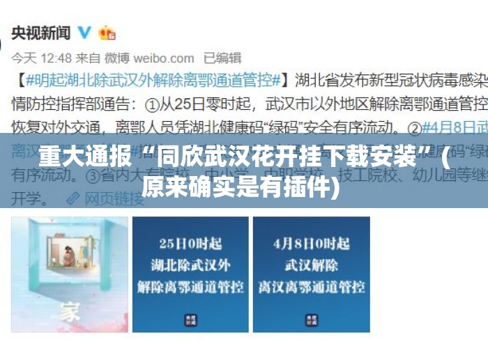 重大通报“同欣武汉花开挂下载安装	”(原来确实是有插件) 