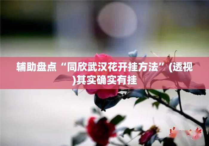 辅助盘点“同欣武汉花开挂方法”(透视)其实确实有挂