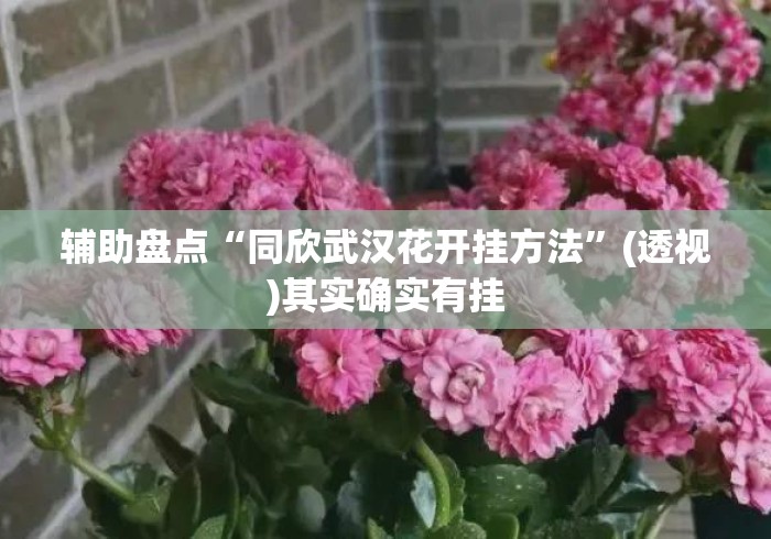 辅助盘点“同欣武汉花开挂方法	”(透视)其实确实有挂