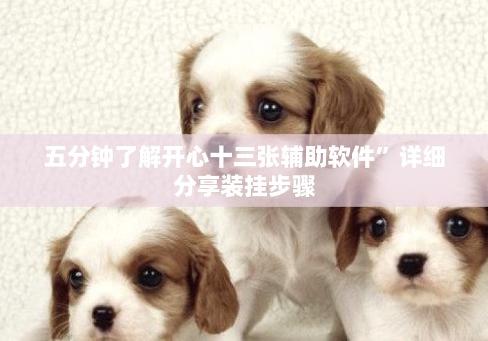 五分钟了解开心十三张辅助软件	”详细分享装挂步骤