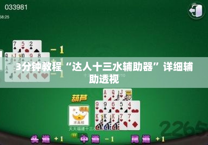 3分钟教程“达人十三水辅助器”详细辅助透视