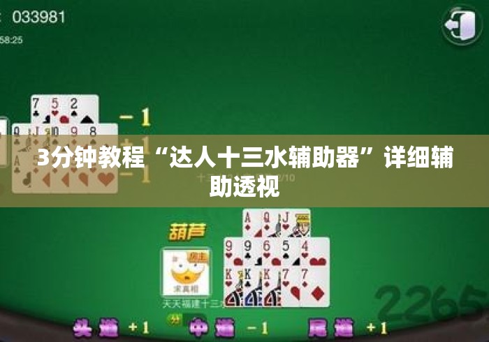 3分钟教程“达人十三水辅助器”详细辅助透视