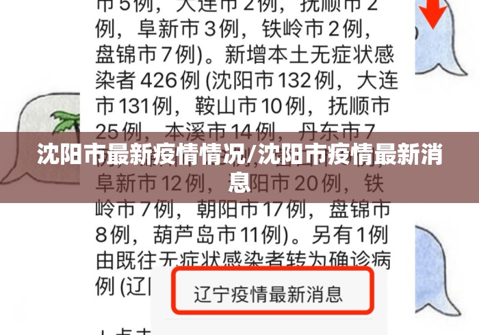 沈阳市最新疫情情况/沈阳市疫情最新消息 沈阳市最新疫情情况/沈阳市疫情最新消息