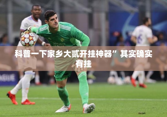科普一下家乡大贰开挂神器”其实确实有挂